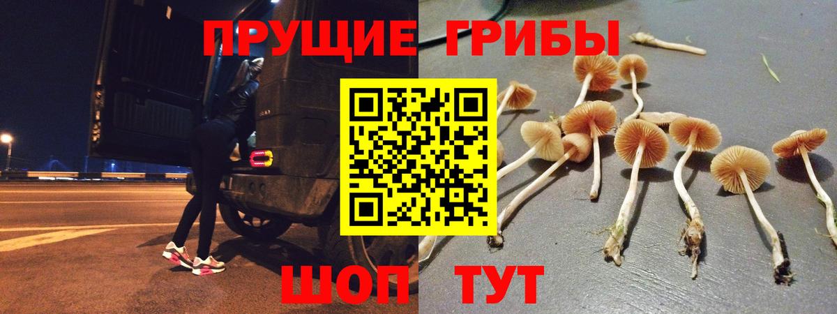 Ессентуки  купить закладку  Вход с VPN  Галлюциногенные грибы прущие грибы 
