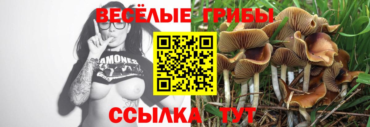 Псилоцибиновые грибы мухоморы Ессентуки