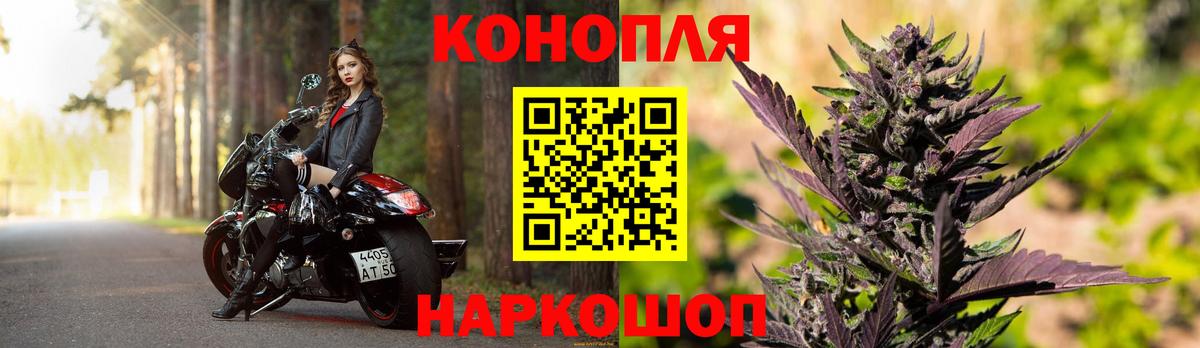 Бошки марихуана конопля  Вход с VPN  Ессентуки  Конопля MAZAR 